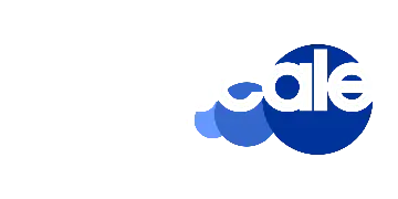 Multiscale Marketing